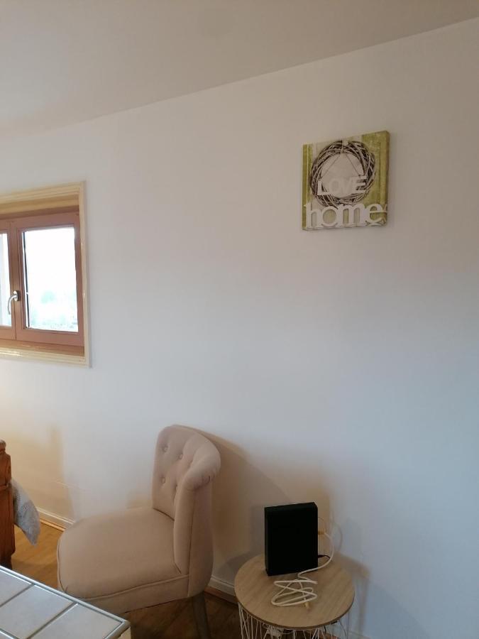 Studio Avec Balcon Au Pied Du Rocher D'Aiguilhe Le Puy-en-Velay Exterior foto